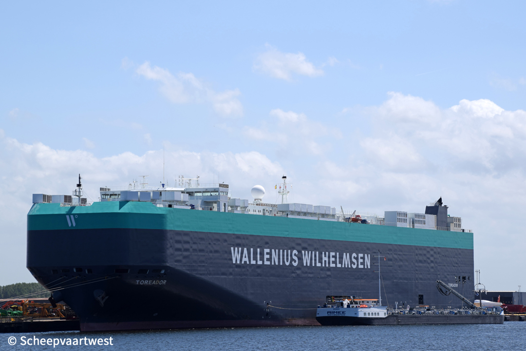 ARC DEFENDER - IMO 9375264 - ShipSpotting.com - Ship Photos